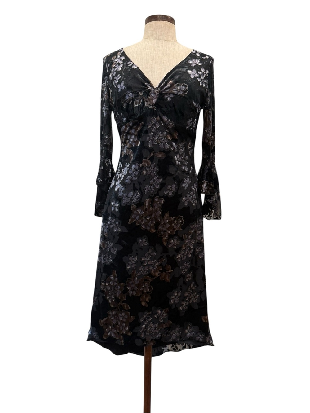 Whimsigoth dark floral velvet dress